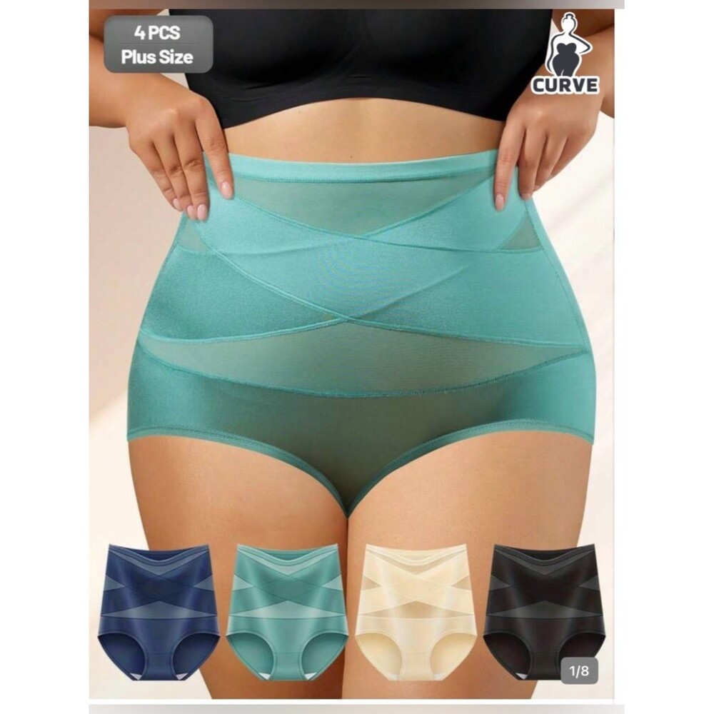 Quasti 4 pack NWT High-Waist Shaping Briefs Mesh 3X Plus NWT
